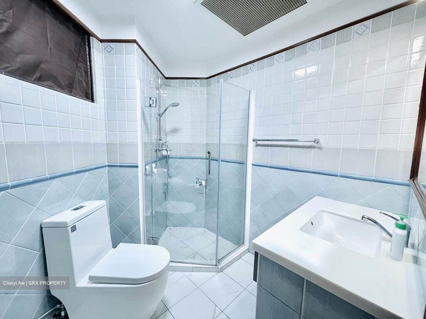 Dover Parkview (D5), Condominium #524216831